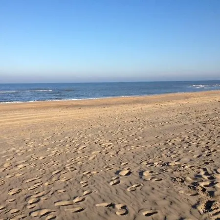 Sunset Boulevard Zandvoort